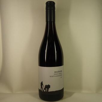 2020 Pinot Noir Bundsandstein trocken 